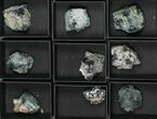 Mineral Flat: Fluorescent Rogerley Fluorite - Pieces #97125-2